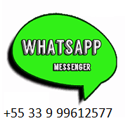 Whatsapp flower shop Belo Horizonte